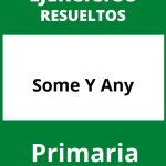 Some Y Any Ejercicios Primaria PDF